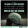 Allah-reason.jpg