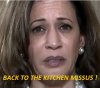 Kamala_kitchen.jpg