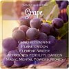 Magical-Herbs-Grapes-Elune-Blue.jpg