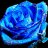 BlueRose